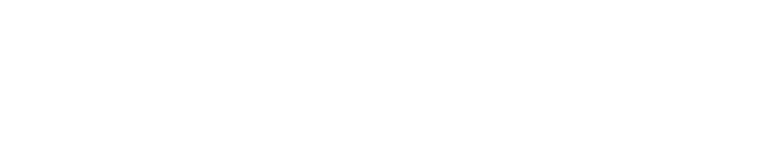 ORLENA AGENCY